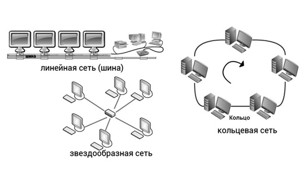 osnovnye-komponenty-i-raznovidnosti-kompyuternyx-setej.jpg