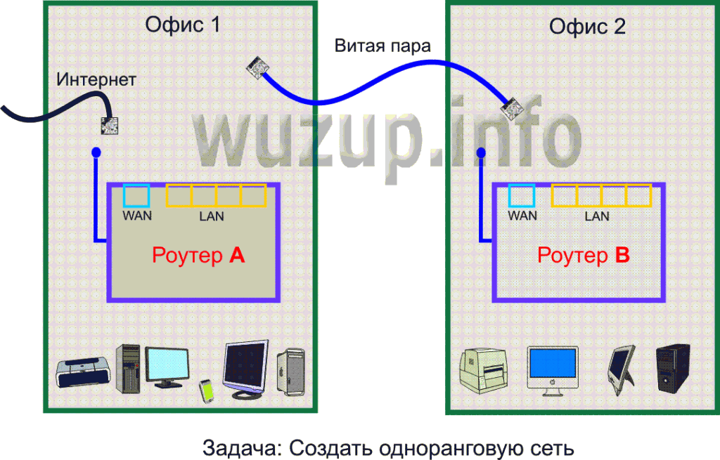 network-1024x655.png