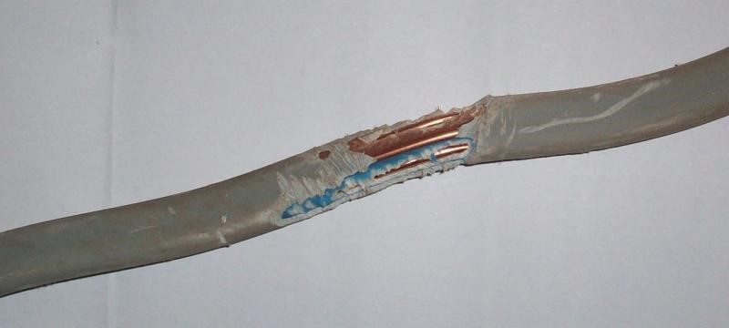 1-31.jpg