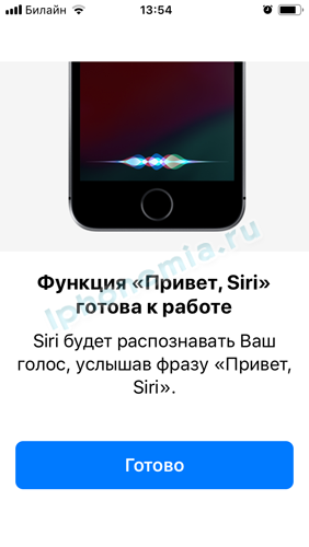 IMG_1573-282x500.png
