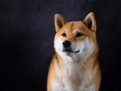 NQwd3dg8KJWO4dVb6z0Arz2kA8vKwcBfCJVz0aM.jpg