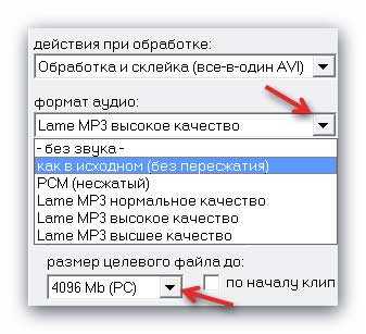 MP4_in_AVI6.jpg