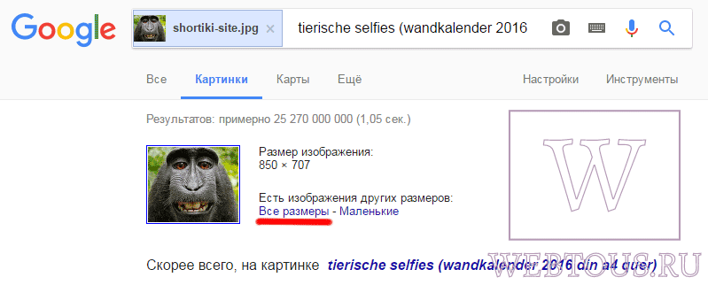 all-sizes.png