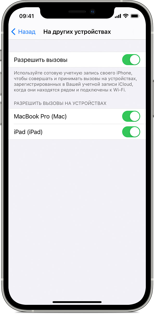 ios14-iphone12-pro-settings-phone-calls-on-other-devices-on.jpg
