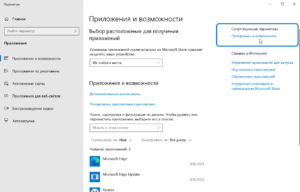 alice-yandex-how-to-instal-disable-screenshot-5-300x192.png