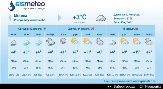 gismeteo-yarkoe-solnyshko-ili-prolivnoj-dozhd.jpg