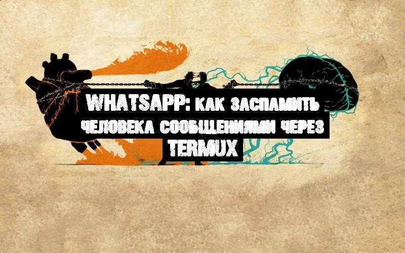 whatsapp-%D0%BA%D0%B0%D0%BA-%D0%B7%D0%B0%D1%81%D0%BF%D0%B0%D0%BC%D0%B8%D1%82%D1%8C-%D1%87%D0%B5%D0%BB%D0%BE%D0%B2%D0%B5%D0%BA%D0%B0-%D1%81%D0%BE%D0%BE%D0%B1%D1%89%D0%B5%D0%BD%D0%B8%D1%8F%D0%BC%D0%B8-%D1%87%D0%B5%D1%80%D0%B5%D0%B7-termux.jpg