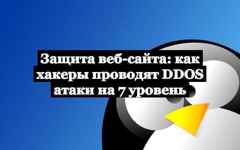 %D0%97%D0%B0%D1%89%D0%B8%D1%82%D0%B0-%D0%B2%D0%B5%D0%B1-%D1%81%D0%B0%D0%B9%D1%82%D0%B0-%D0%BA%D0%B0%D0%BA-%D1%85%D0%B0%D0%BA%D0%B5%D1%80%D1%8B-%D0%BF%D1%80%D0%BE%D0%B2%D0%BE%D0%B4%D1%8F%D1%82-ddos-%D0%B0%D1%82%D0%B0%D0%BA%D0%B8-%D0%BD%D0%B0-7-%D1%83%D1%80%D0%BE%D0%B2%D0%B5%D0%BD%D1%8C.jpg