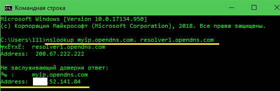 rezultat-vypolneniya-komandy-nslookup.png