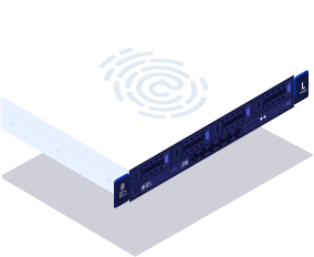 141.png?t=1573656467