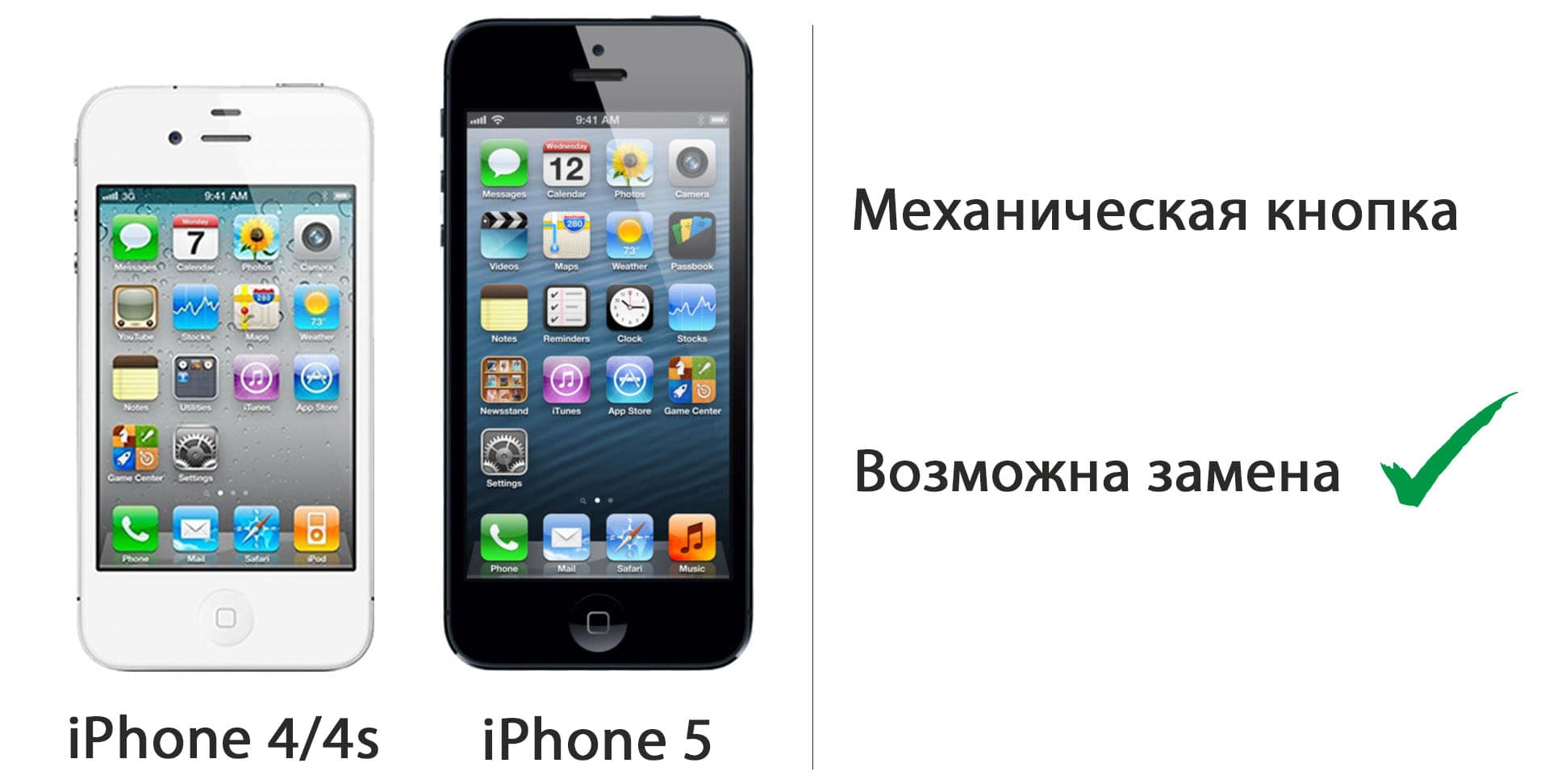 iphone-4-5-zamena-knopki-min.jpg