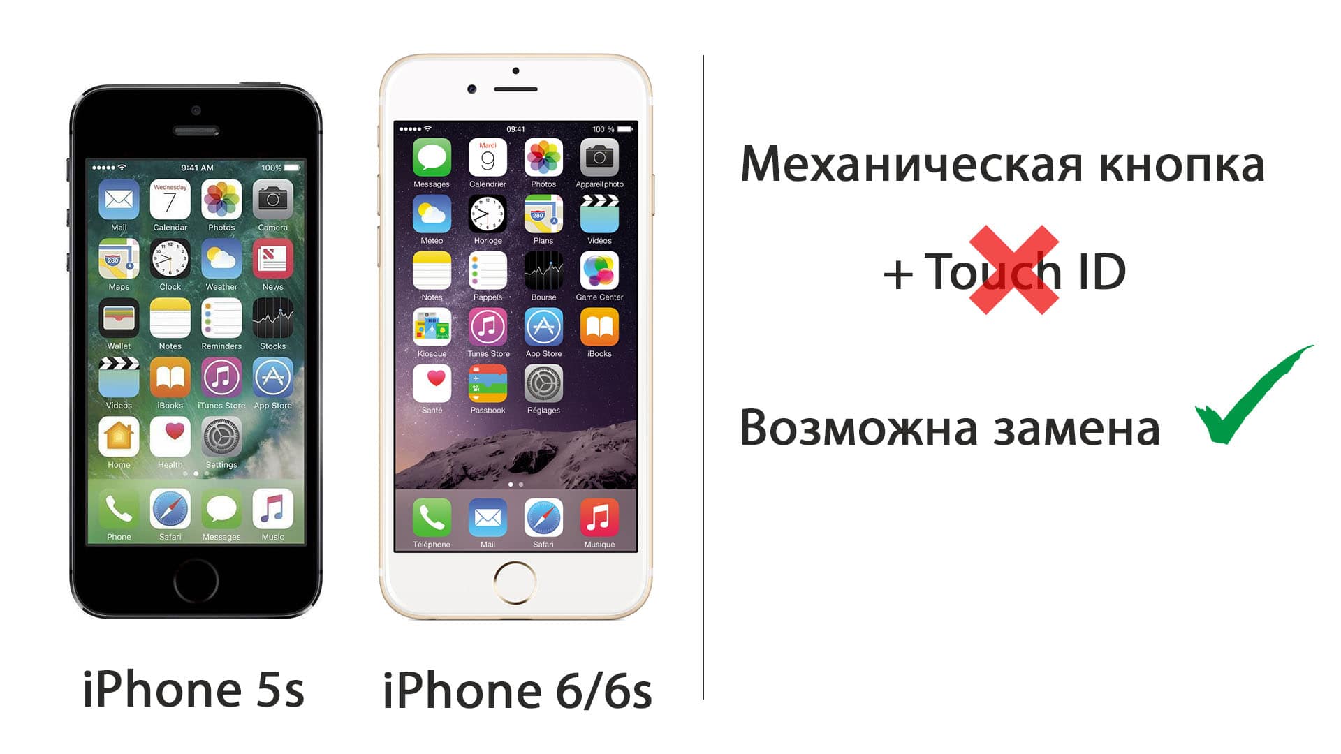 iphone-5s-iphone-6-6s-zamena-knopki-min.jpg