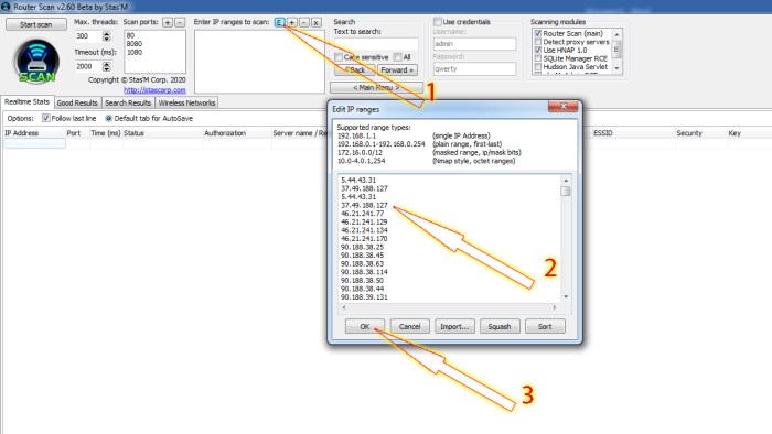 ip камера - интерфейс программы RouterScan