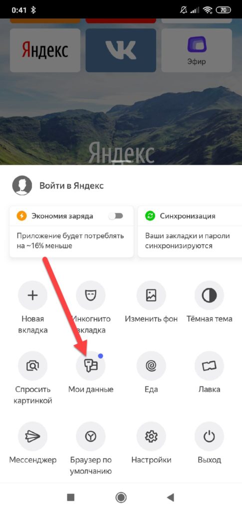 Яндекс-Мои-данные-485x1024.jpg