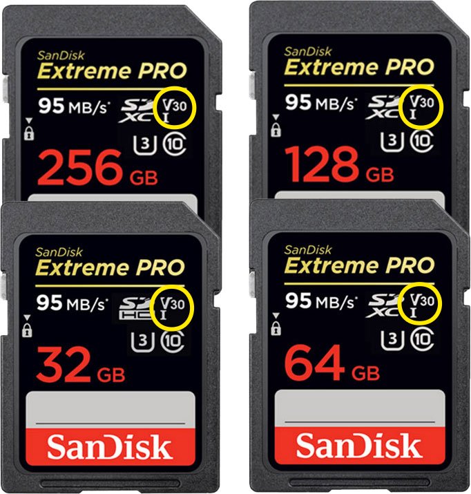 sanDisk-Extreme-Pro-Micro-S.png