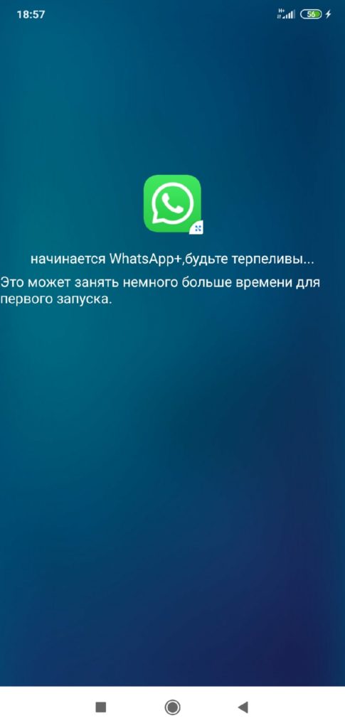 APP-Cloner-процесс-создания-клона-WhatsApp-485x1024.jpg