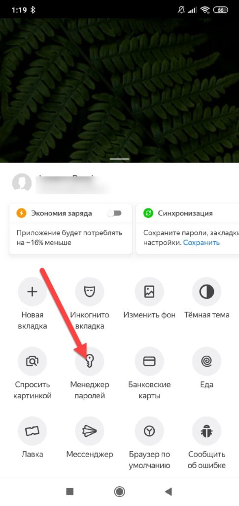 Яндекс-браузер-Менеджер-паролей-485x1024.jpg