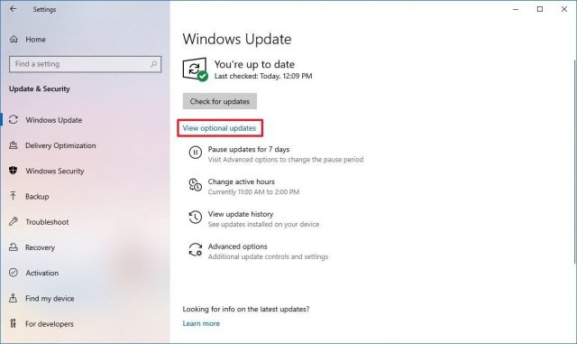 1608975785_windows-10-driver-updates-viewoptionalupdates.jpg