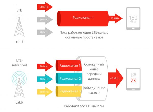 post_5ce43e313ce92-600x439.jpg