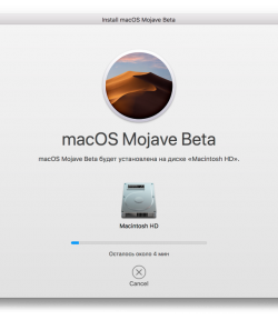 mojave_install-250-288.png