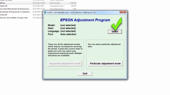 Сброс памперса - Epson Ajastment Program