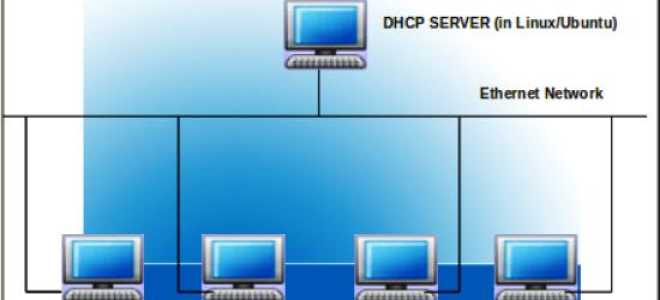 Как включить dhcp на сетевом адаптере