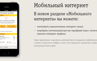 «Билайну» конец? Что происходит с одним из операторов мобильной сети