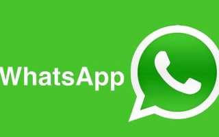 Главное без паники: удалённую переписку в WhatsApp можно восстановить