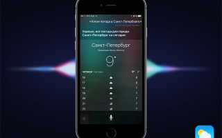 Найден оригинальный способ сильно улучшить работу Siri на iPhone