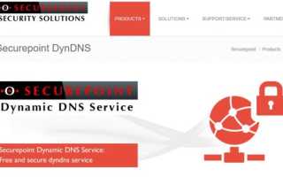 🇼🇸 8 лучших провайдеров динамического DNS для бесплатного использования