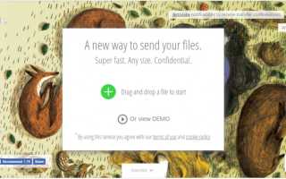 Как передать большой файл через Интернет: лучшие способы – инструкция